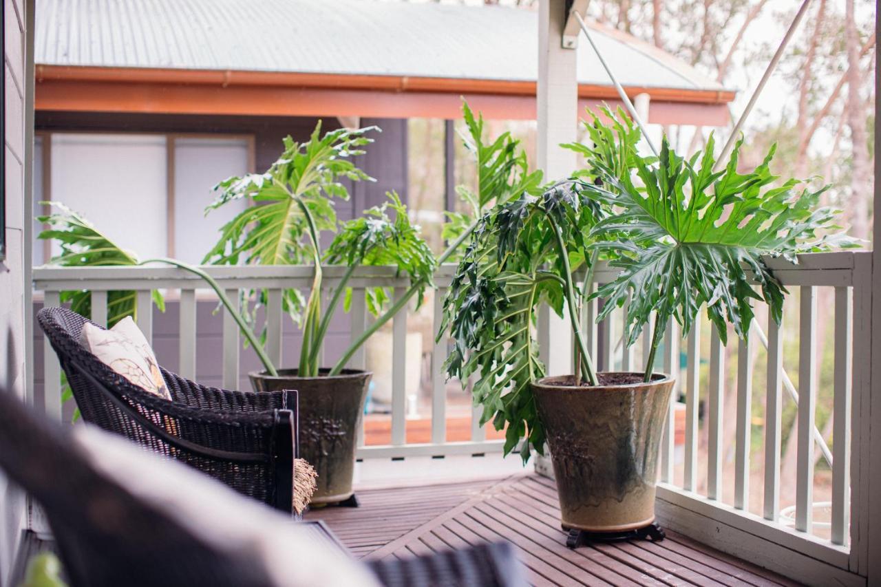 Bed and Breakfast Snooty Fox Bed &Breakfast Hazelbrook Экстерьер фото